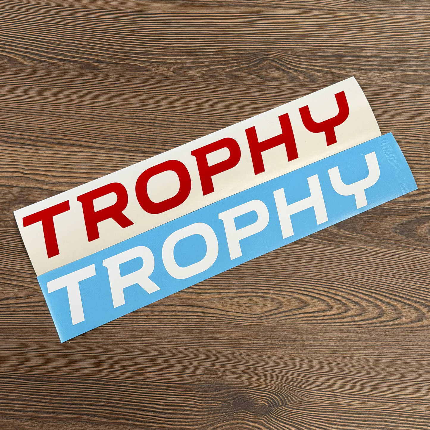 Stickers "TROPHY" lame avant Megane 4rs