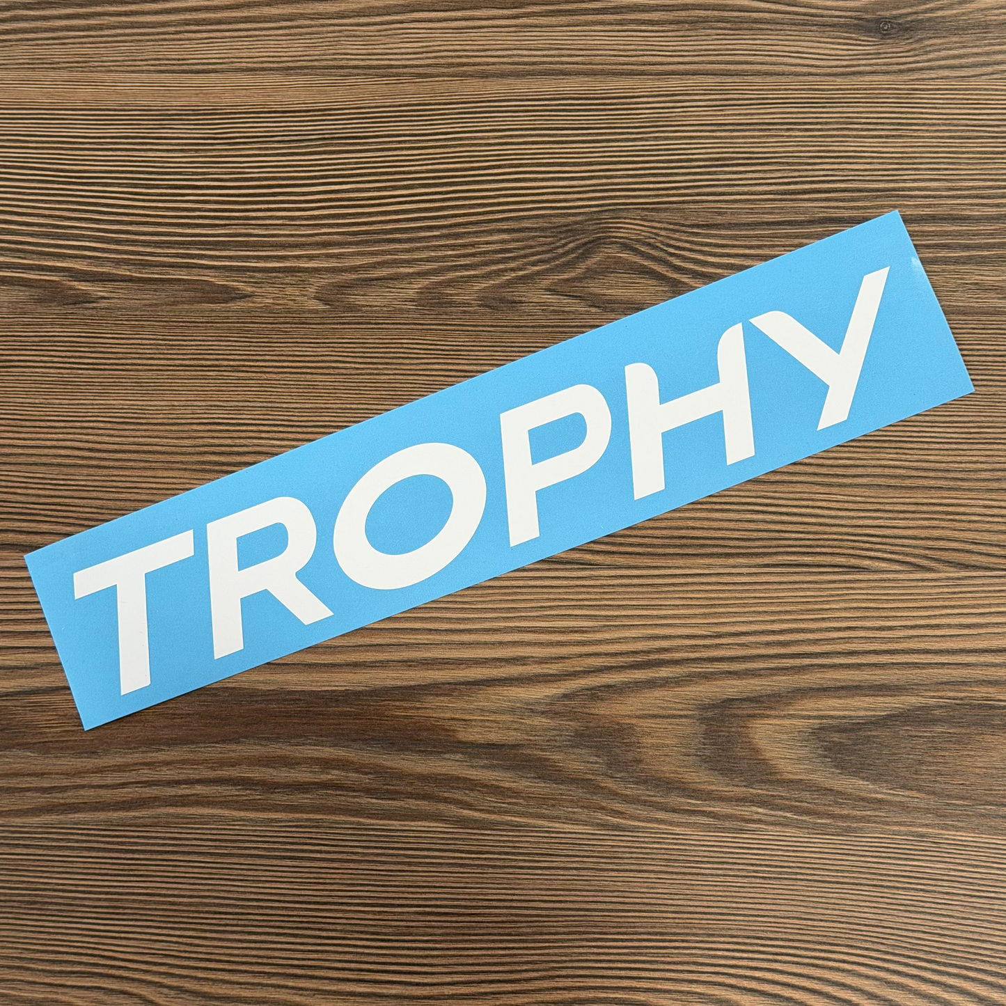 Stickers "TROPHY" lame avant Megane 3rs Phase 3
