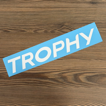 Stickers "TROPHY" lame avant Megane 3rs Phase 3
