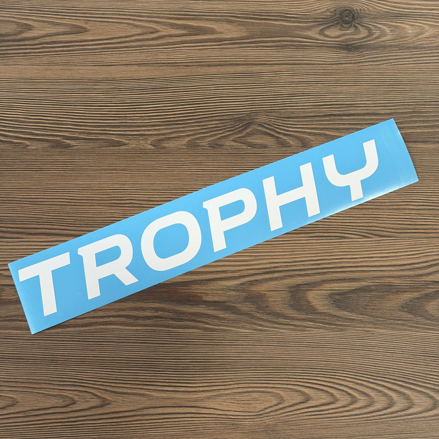 Stickers "TROPHY" lame avant Megane 4rs