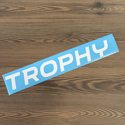 Stickers "TROPHY" lame avant Megane 4rs